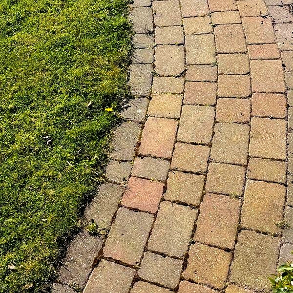 Block paved garden path in Uttoxeter before cleaning