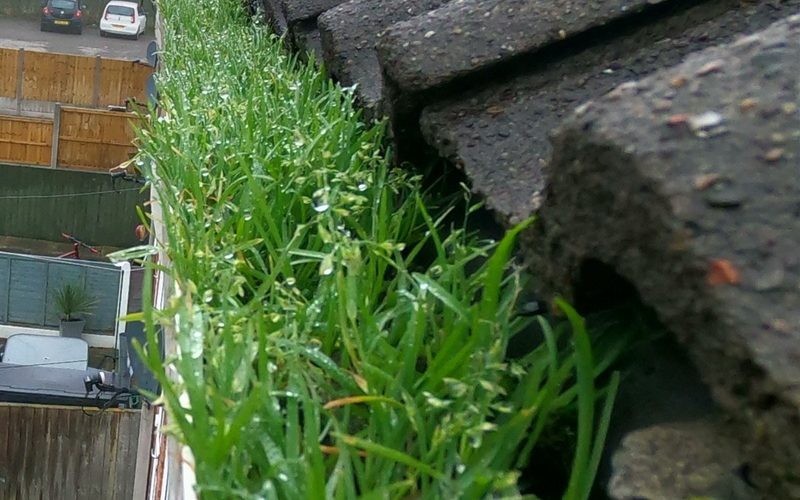 Gutter clearance by Ultra Clean Exteriors
